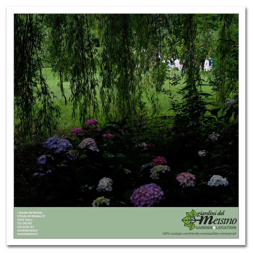 giardini meisino location torino 080